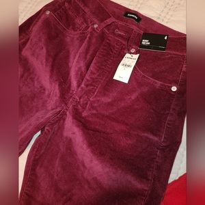 Express velvet magenta pants